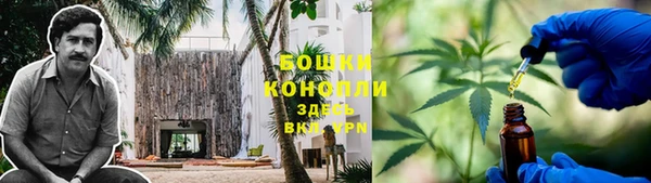 прущий лед Касимов