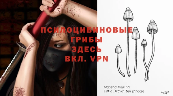 MDMA Premium VHQ Пенза