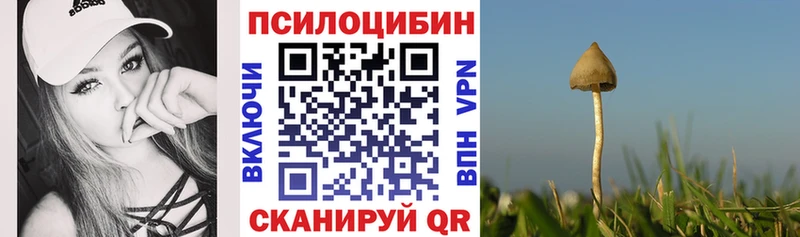 Псилоцибиновые грибы мухоморы  Североморск 