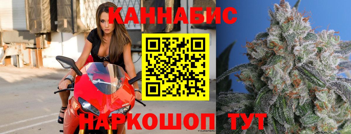 Бошки марихуана конопля Североморск